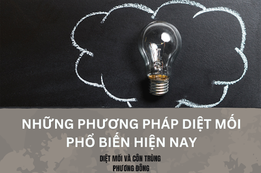 So sánh giữa hai phương pháp phòng mối hóa học và sinh học
