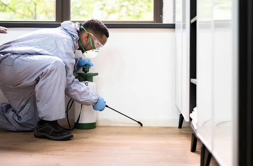 Hướng dẫn phương pháp phòng mối tủ tài liệu văn phòng công ty