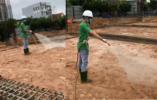 Tìm hiểu các bước phòng mối cho biệt thự mới hoàn thiện