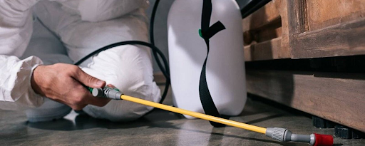 Đơn vị phòng chống mối Sao Việt có dịch vụ bảo hành không?