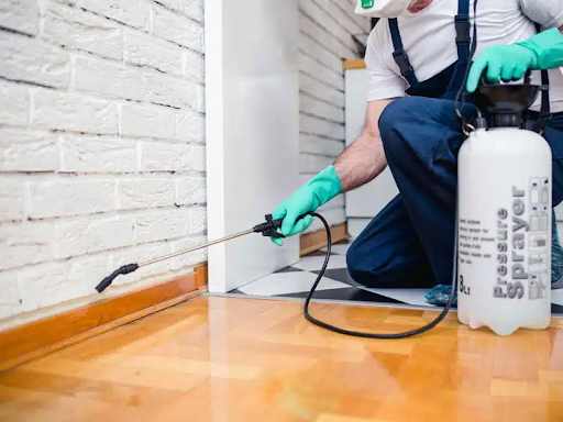 Đơn vị phòng chống mối Sao Việt có dịch vụ bảo hành không?