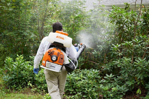 Các loại thuốc diệt muỗi phổ biến hiện nay và cách dùng