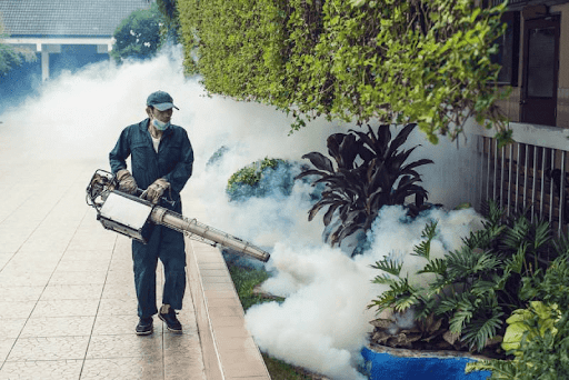 Phun muỗi có tác dụng bao lâu? Khi nào thì cần phun lại