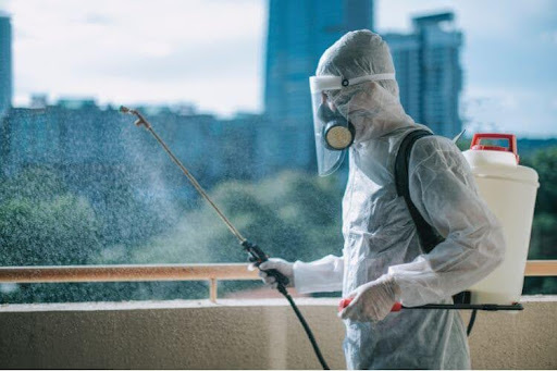 Có nên xịt muỗi mỗi tuần vào mùa cao điểm sinh sản côn trùng