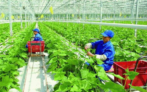 Ứng dụng AI trong kiểm soát côn trùng cho nông nghiệp