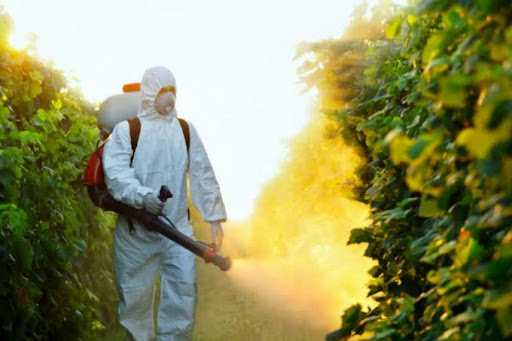Hướng dẫn cách phun thuốc muỗi đúng kỹ thuật và an toàn