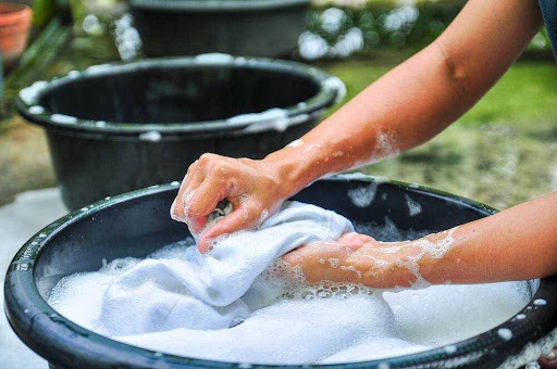 Hướng dẫn cách phòng chống ve chó lây lan trong nhà hiệu quả