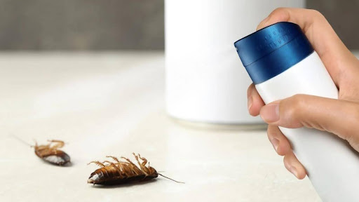 Phun thuốc diệt côn trùng có ảnh hưởng đến sức khỏe không?