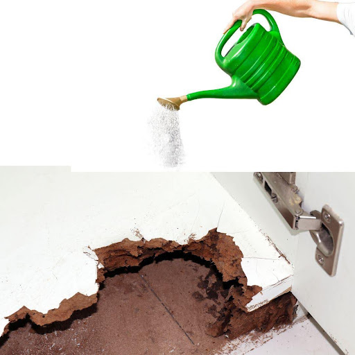 Phương pháp xử lý mối mọt âm tường trong nhà phố hiện đại