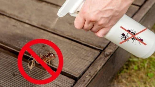 Phương pháp diệt kiến lửa bằng thuốc sinh học an toàn không?