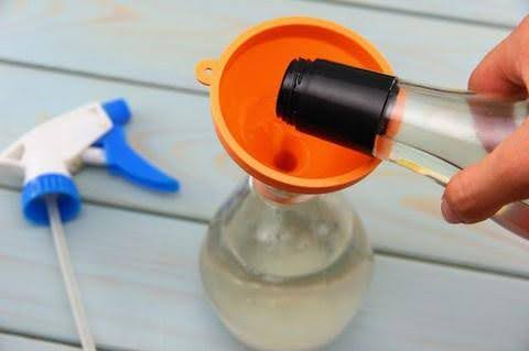 Phương pháp diệt kiến lửa bằng thuốc sinh học an toàn không?