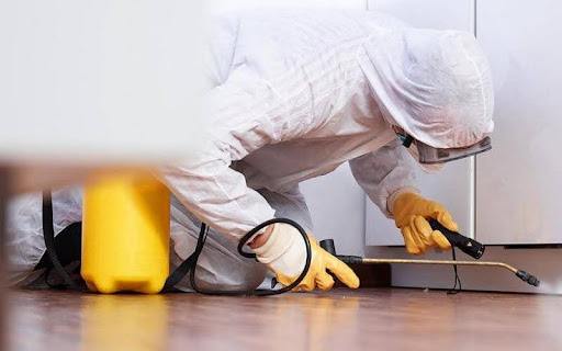 Phun thuốc diệt muỗi có cần dọn dẹp đồ đạc trong nhà không? 