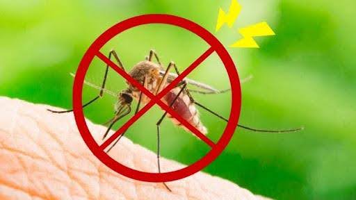 Phòng chống muỗi cho nhà có trẻ sơ sinh cần lưu ý gì không?