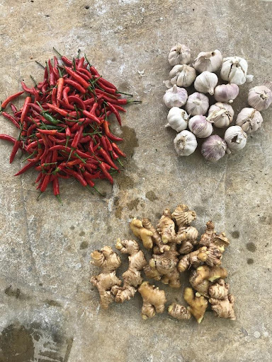 Dùng tỏi ớt diệt sâu bệnh cho cây trồng mẹo hay từ vườn nhà