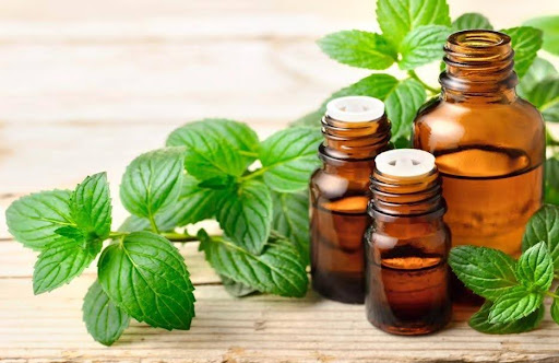 5 mẹo đuổi kiến ra khỏi nhà vĩnh viễn không cần hóa chất