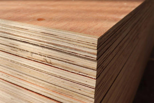 Bảo vệ tài liệu quan trọng khỏi mối mọt mẹo hay cho văn phòng